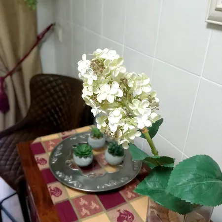 Casa De Nina
